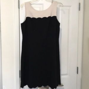 Loft scalloped black and cream dress